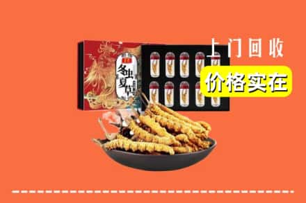 甘南碌曲县回收冬虫夏草